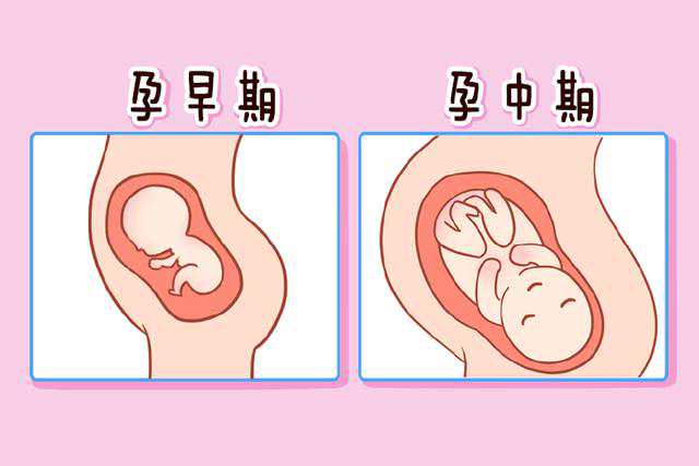 怀孕雌二醇低怎么办